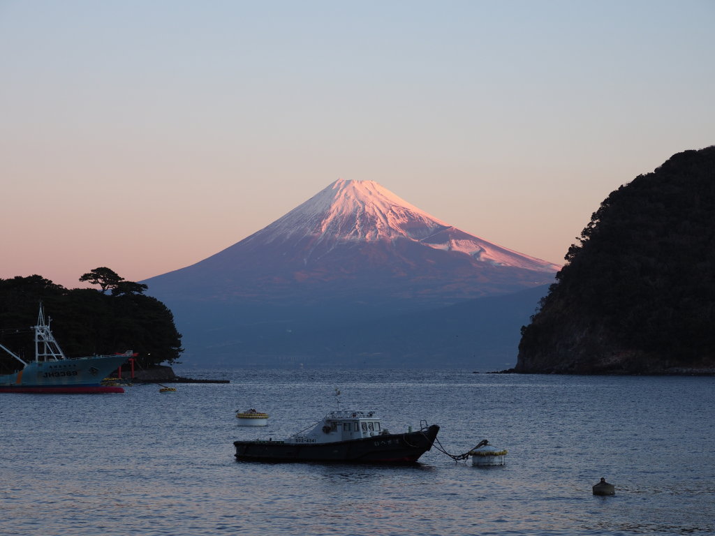 1/25 ��l�`�̕x�m�R