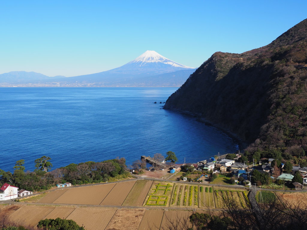 1/25 ��c����̕x�m�R