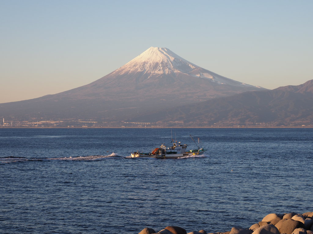 1/25 ��ʑD�A��