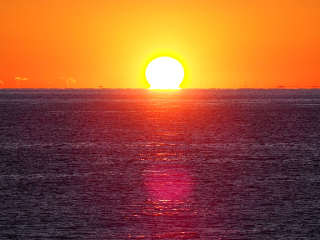 1/25 �_���}�̑��z