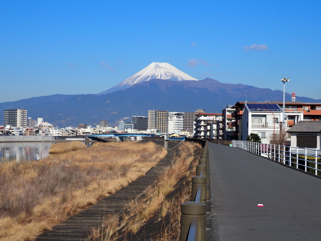 1/26 ���Í`����̕x�m�R