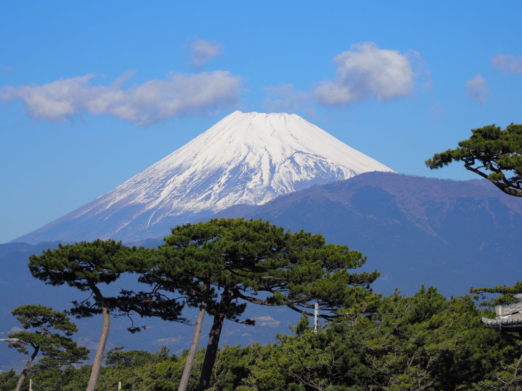 1/26 ��{����������̕x�m�R