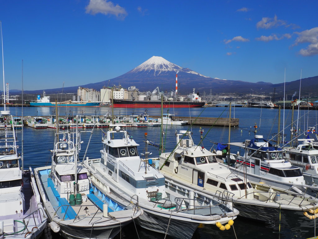 1/26 �c�q�̉Y����̕x�m�R