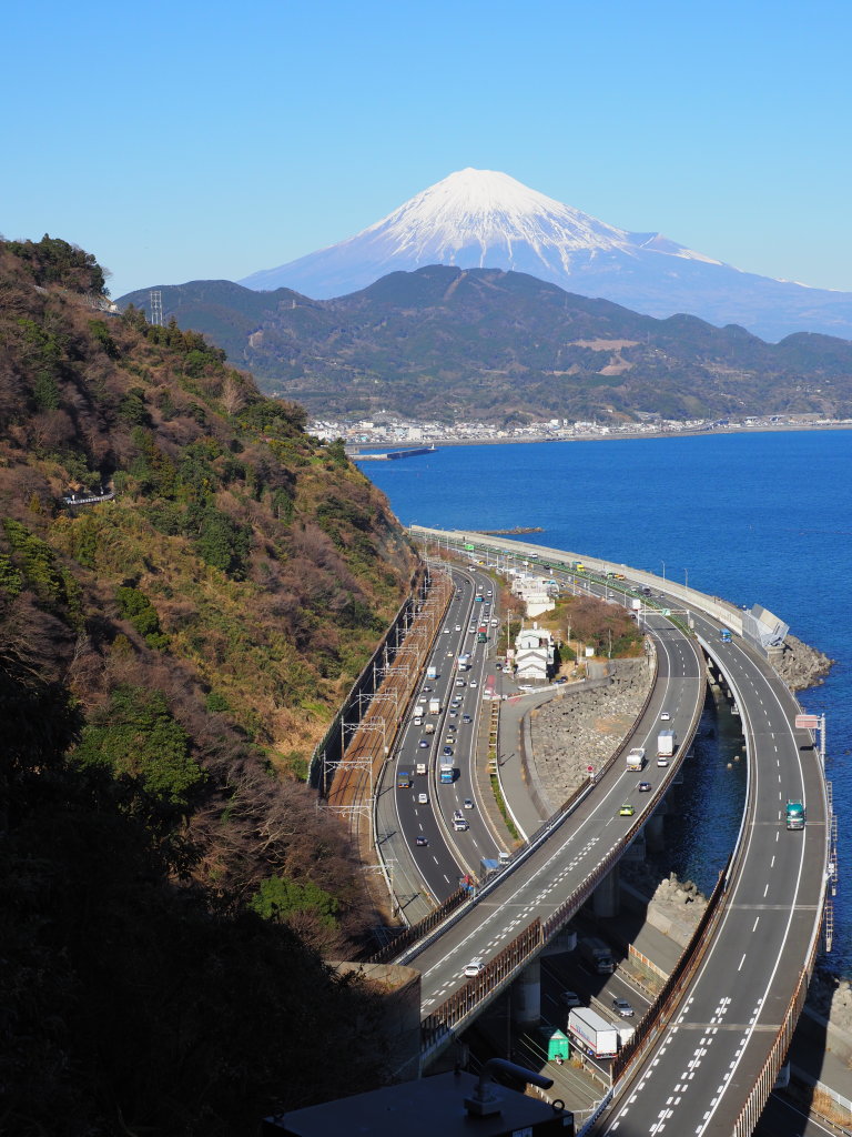 1/26 �F����������̕x�m�R