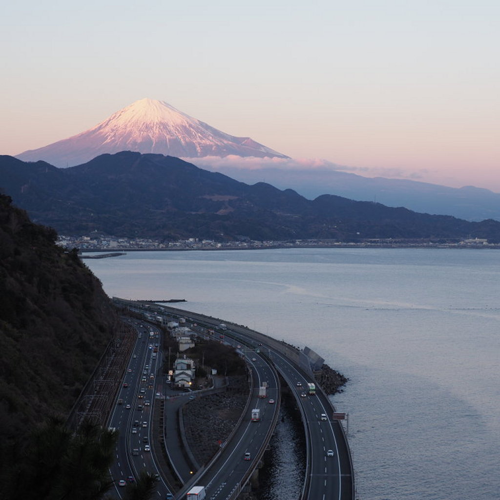 1/26 �[�Ă��̕x�m�R