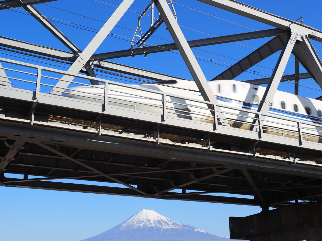 1/28 �V�����ƕx�m�R