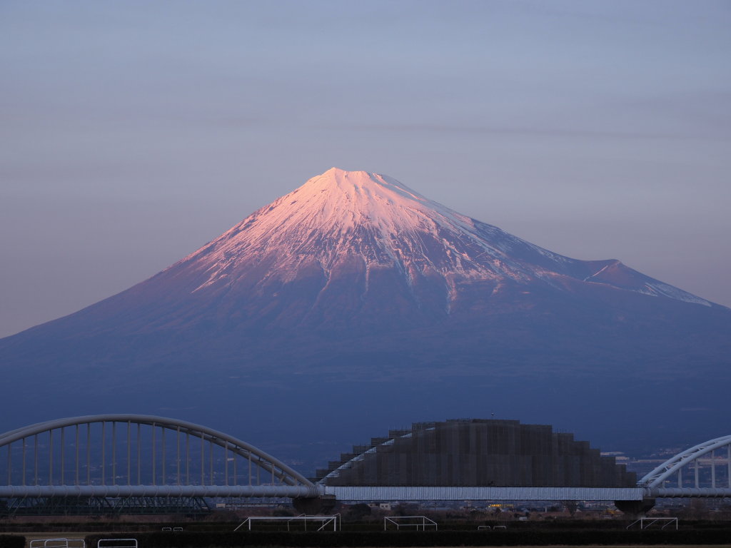 1/28 �[�Ă��̕x�m�R