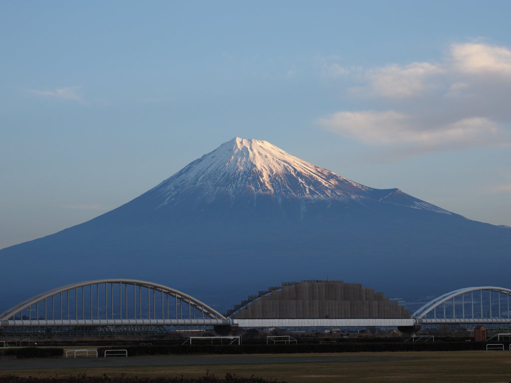 1/29 ����������Ă����x�m�R