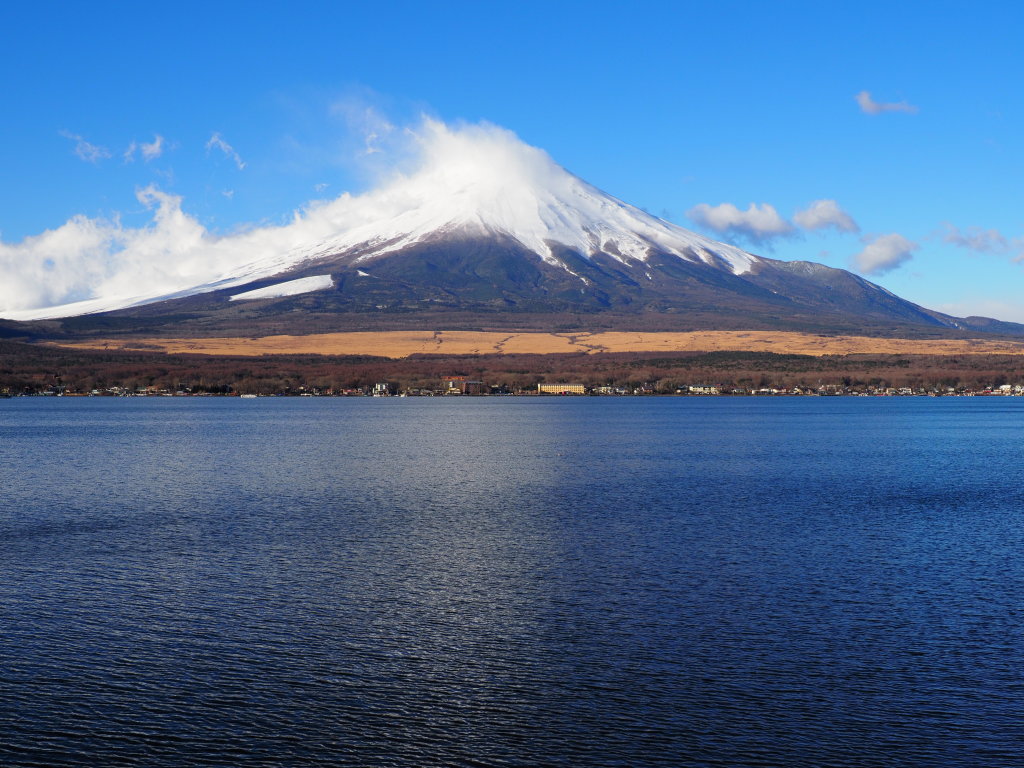 2/6 �����̕x�m�R