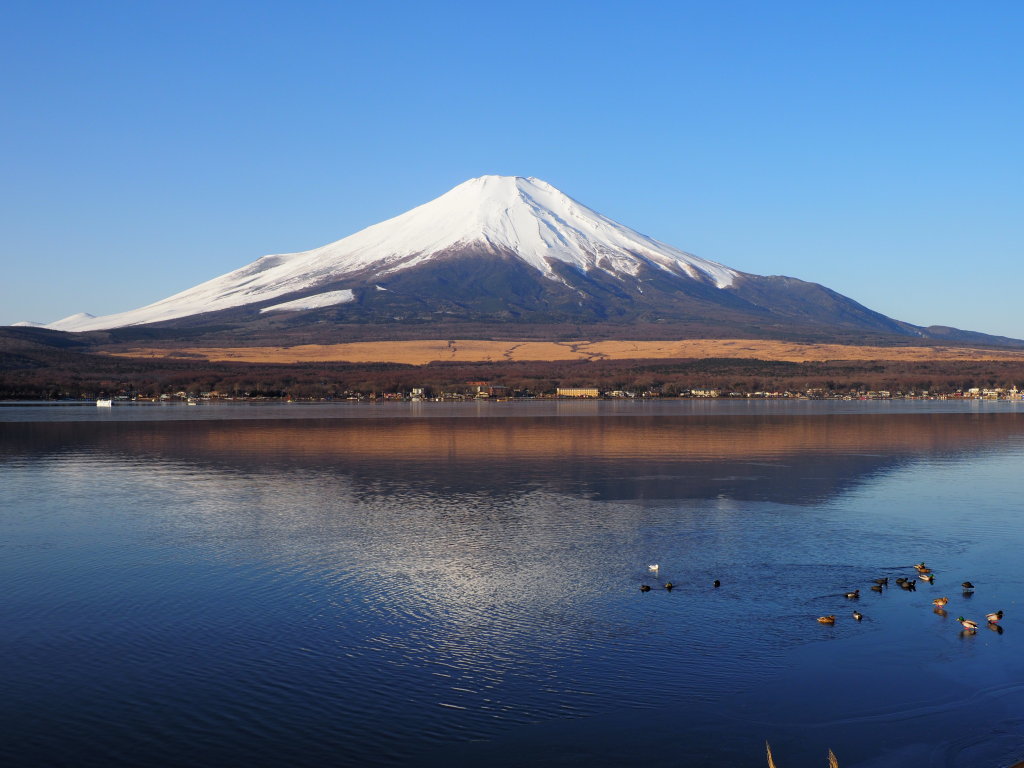 2/8 �����ƃJ���t���x�m��