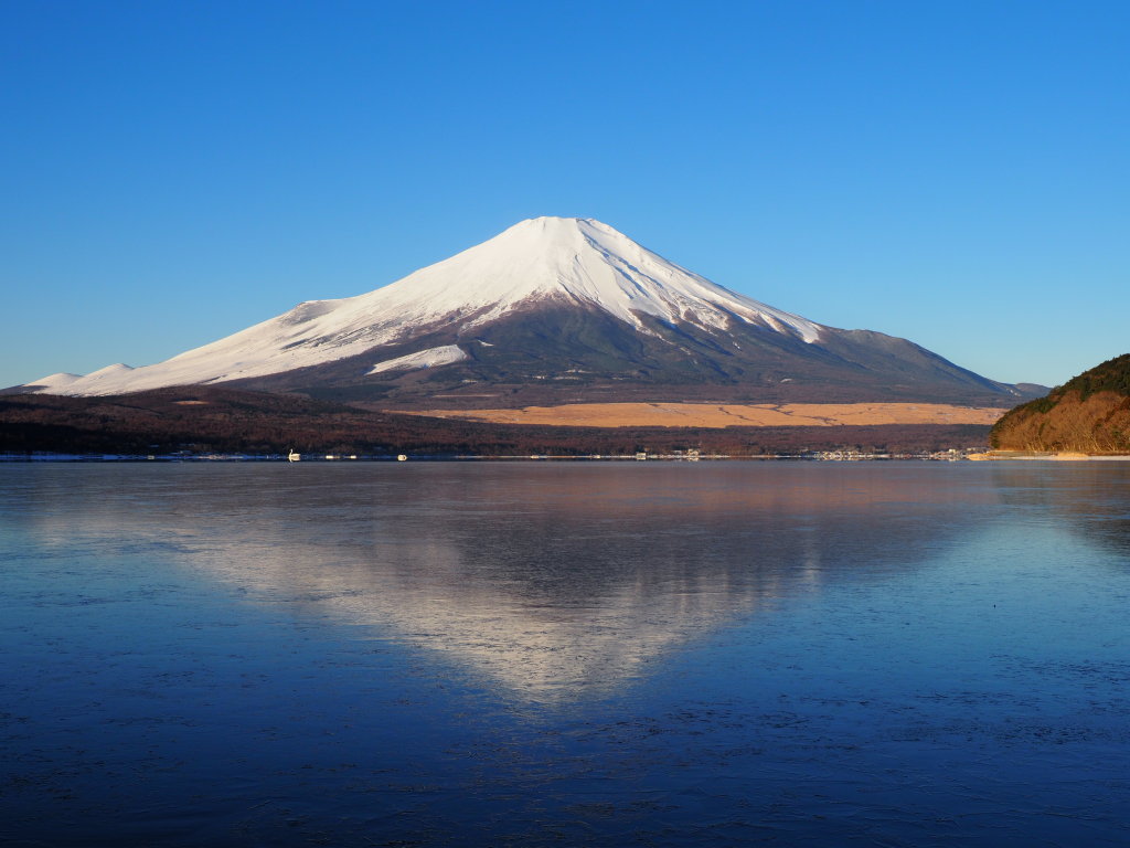 2/15 �Y��ȋt���x�m