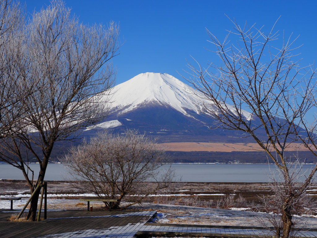 2/16 �U���̓r��