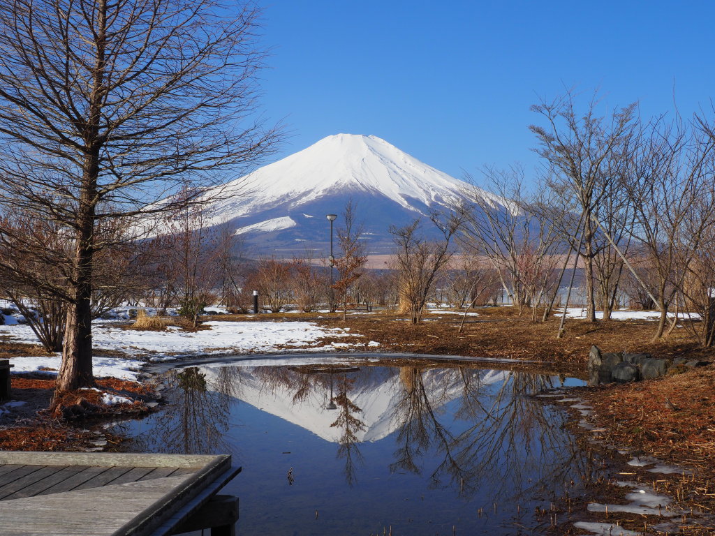 2/15 �L��������̃_�C�������h�x�m(3)