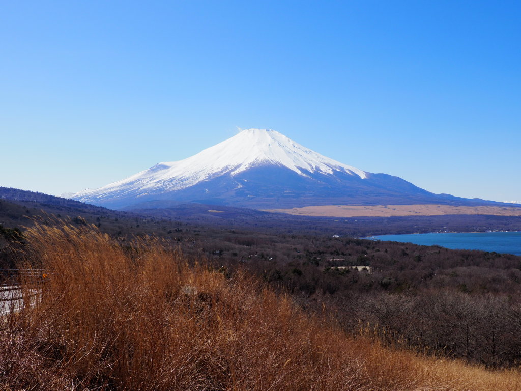 2/21 �p�m���}�䂩��̕x�m�R