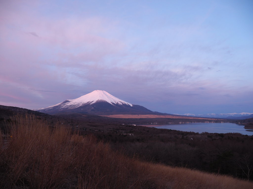 2/22 ���Ă��̕x�m�R