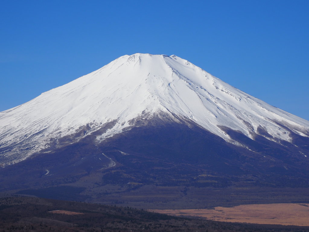 2/22 �Y��ȕx�m�R