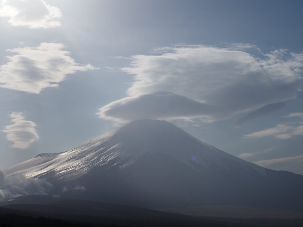 2/23 �p������