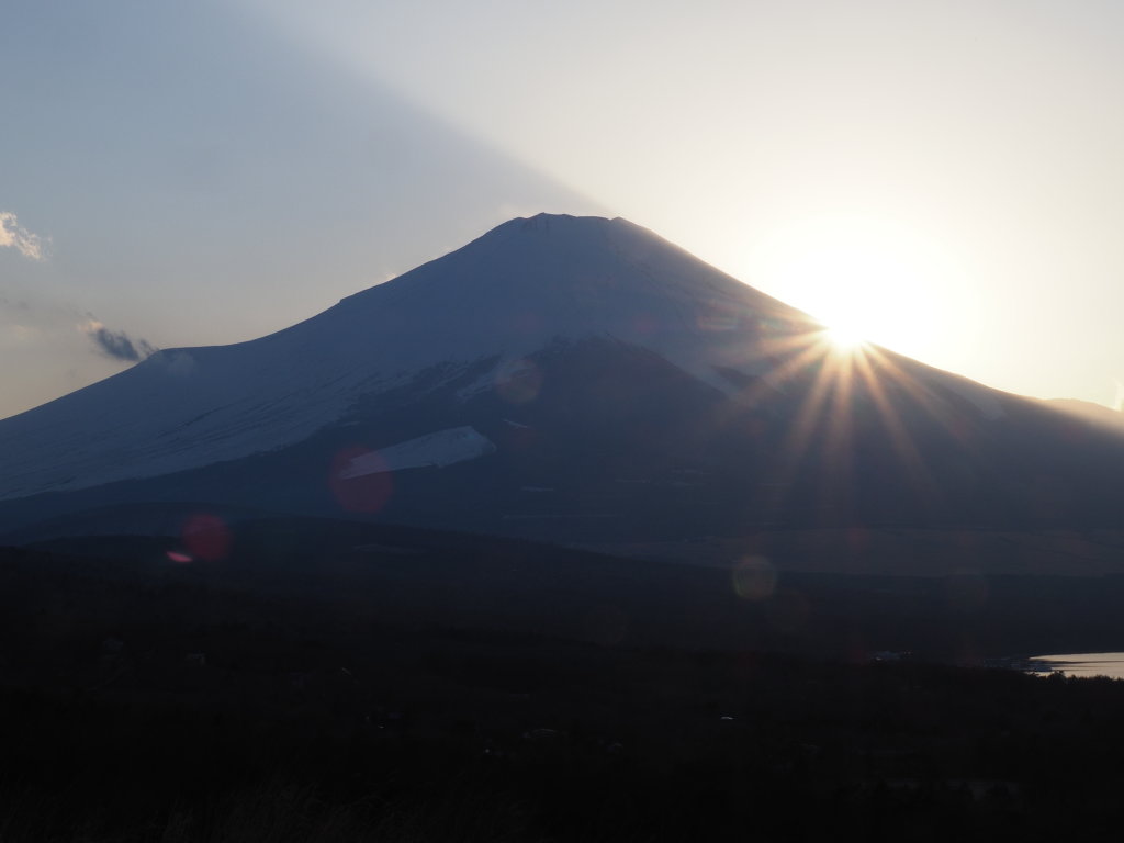 3/4 ���̓���̕x�m�R