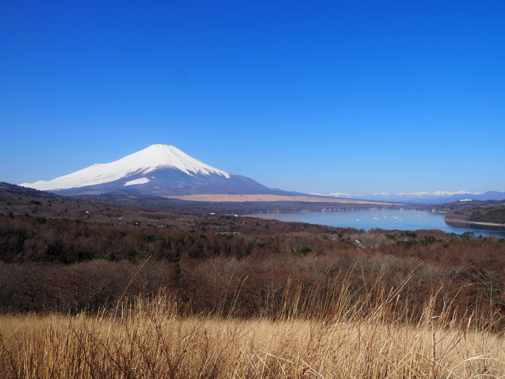 3/5 ��������x�m�R