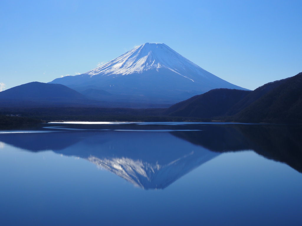 �{���΂̋t���x�m(Olympus �d-�M�P)