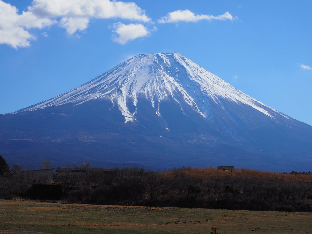 3/8 ������������̕x�m�R