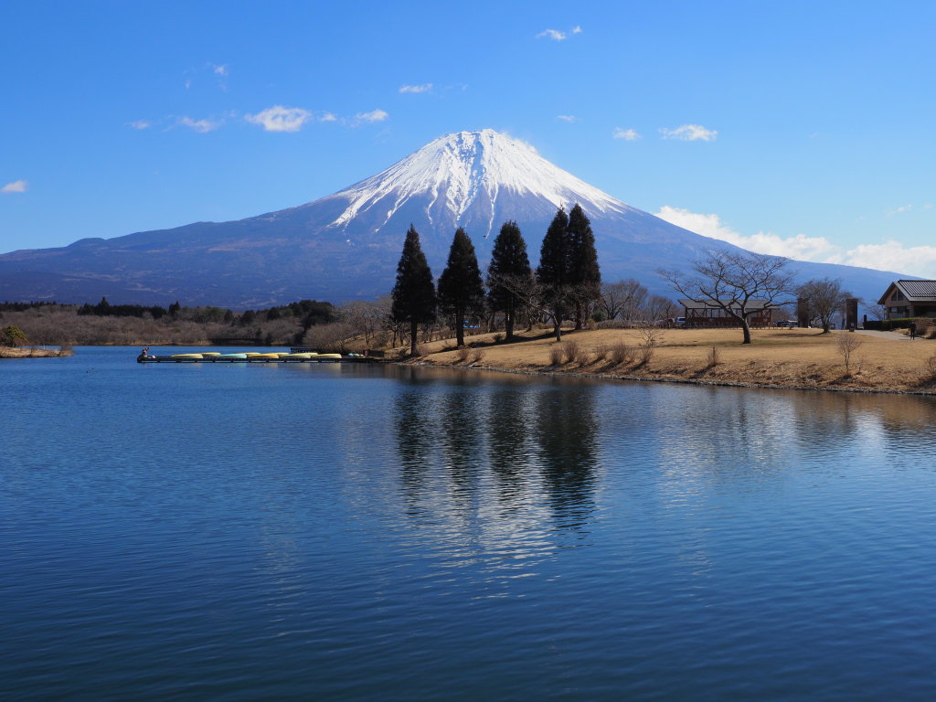 3/8 �c�ь΂���̕x�m�R