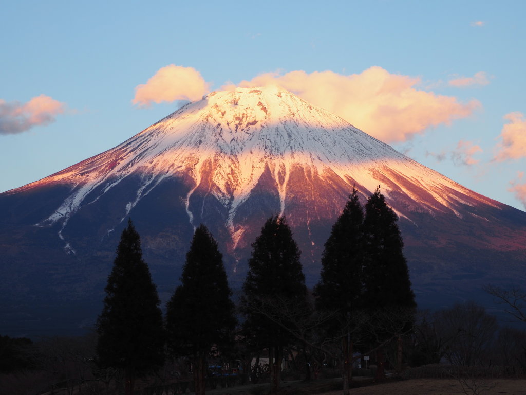 3/8 �[�Ă̕x�m�R