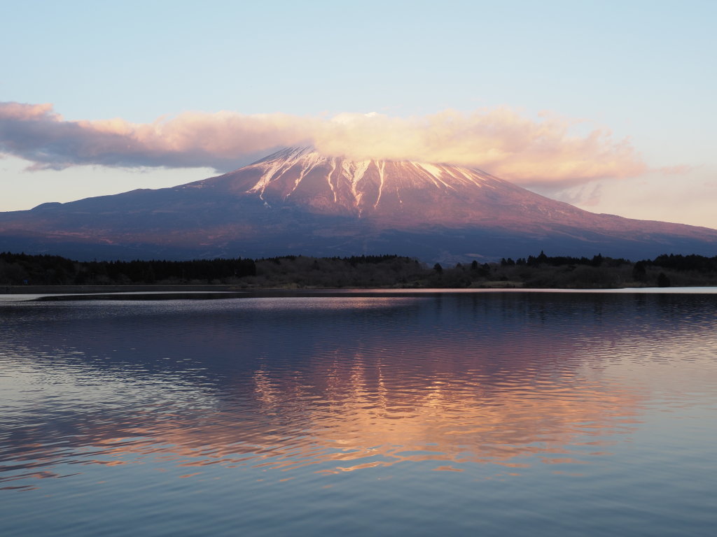 3/9 �_�̒��̗[�Ă�