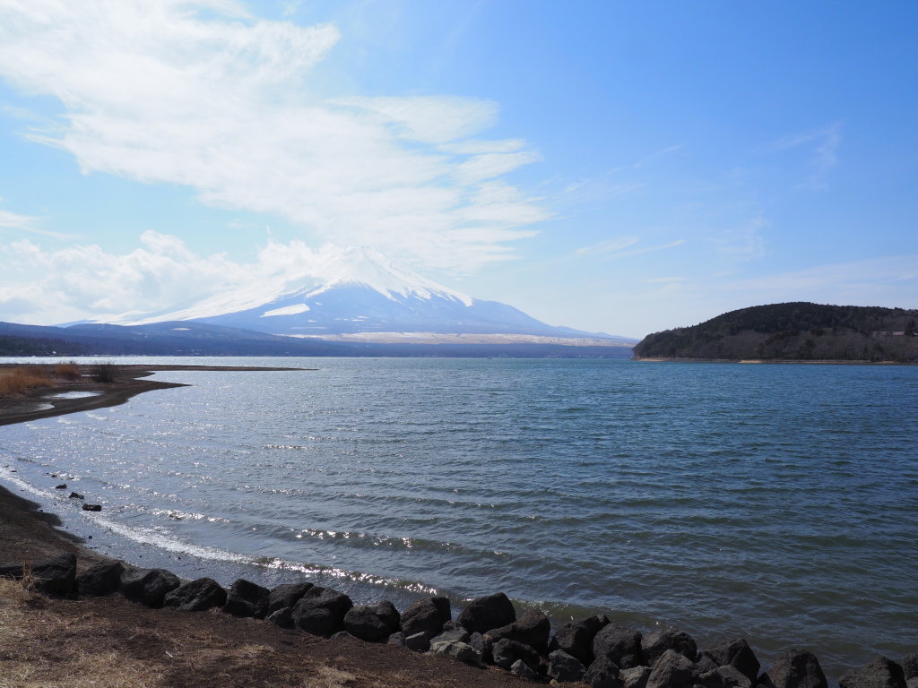 3/22 �����Ă����x�m�R