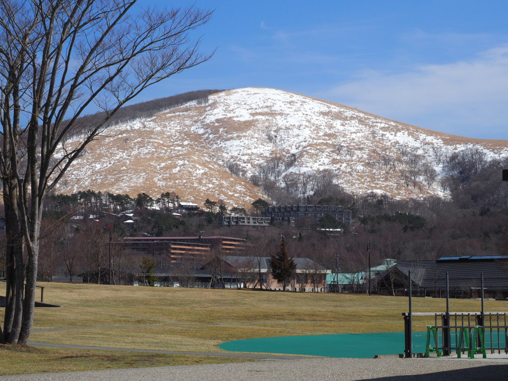 3/22 ���_���̐�