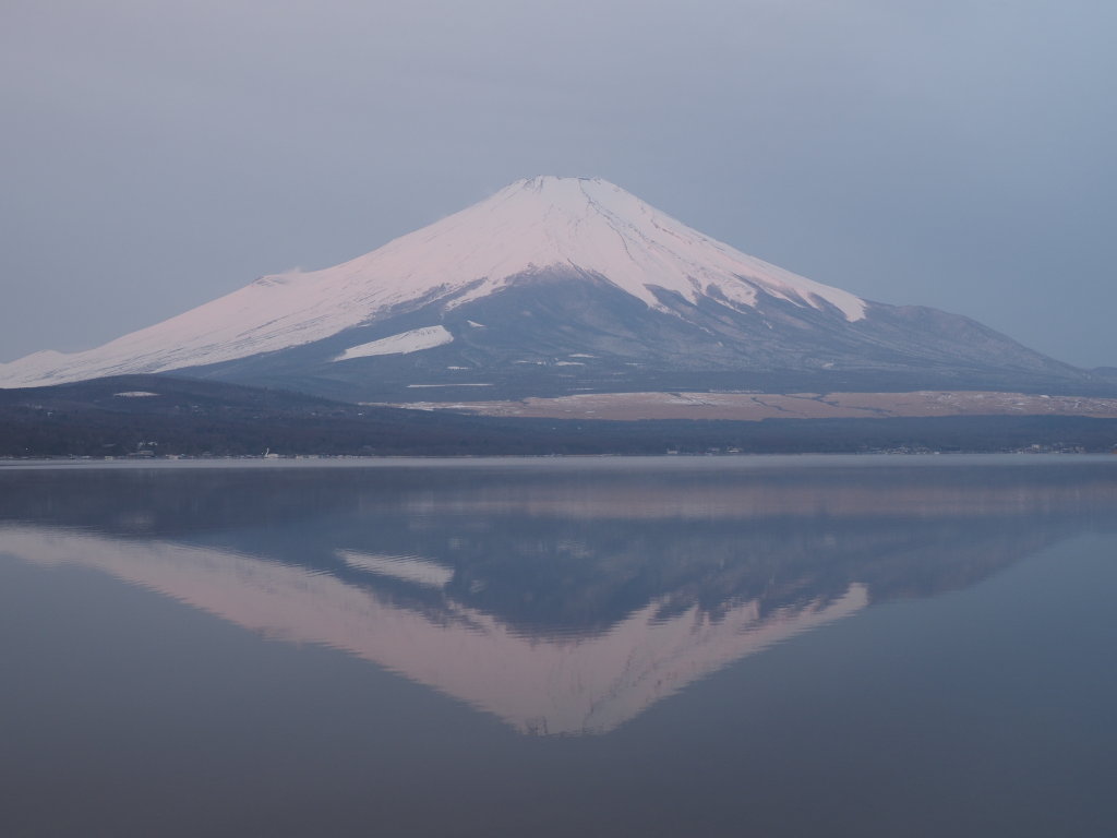 3/23 �ق�̂�t���x�m