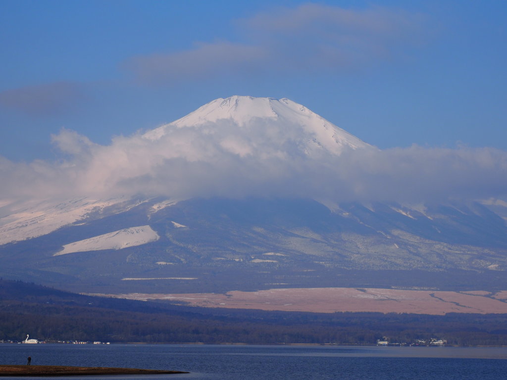 3/24 ��̕x�m�R