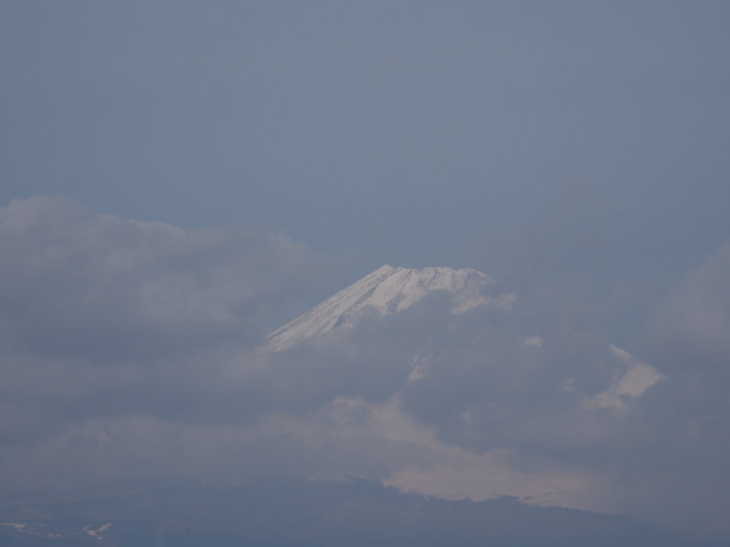 3/25 ��u�̕x�m�R