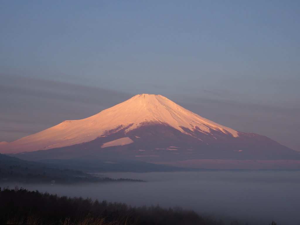 4/5 �_�C�̍g�x�m