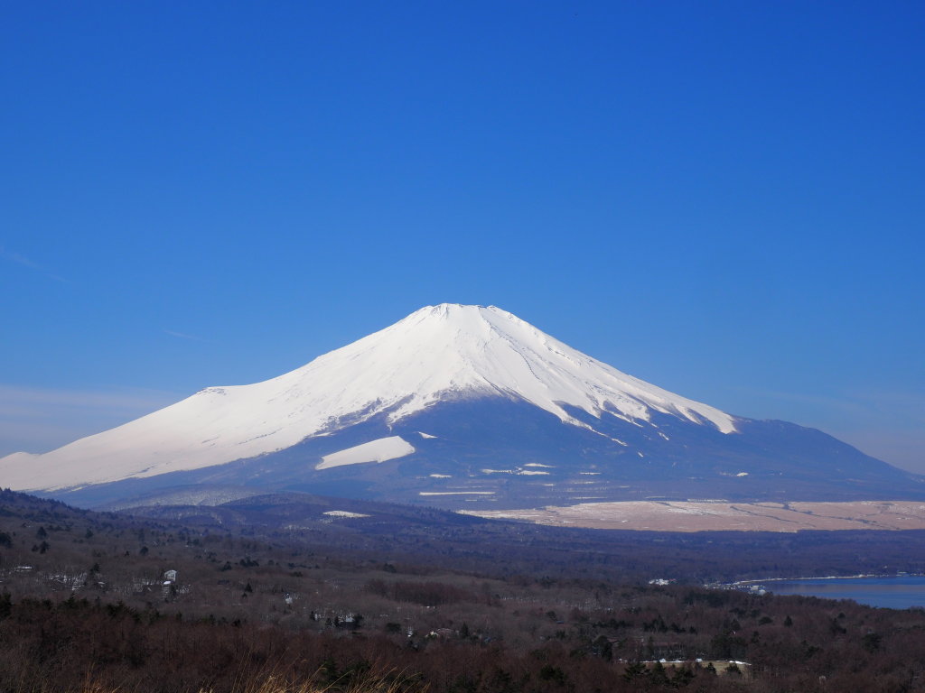 4/5 �s�[�J���̕x�m�R