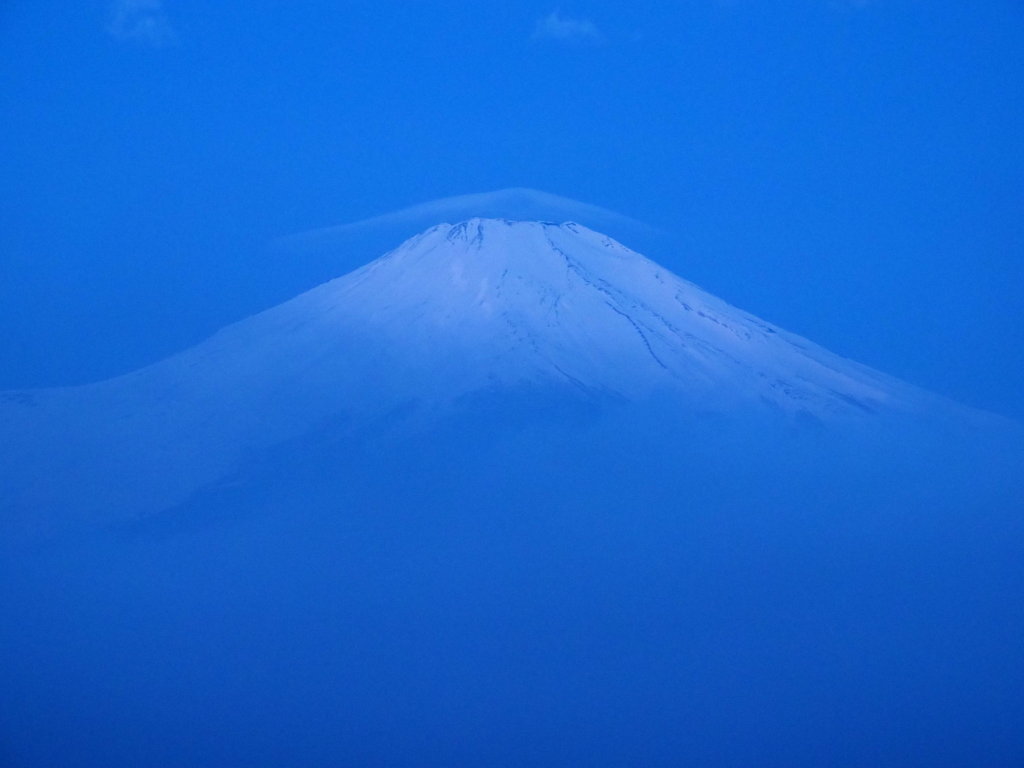 4/6 �_�C�̎P�_