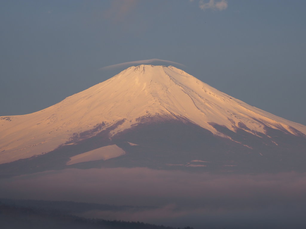 4/6 ���Ă��̕x�m�R