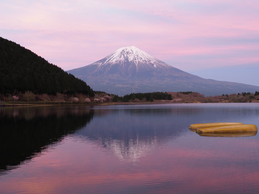 4/18 �[�Ă��̕x�m�R