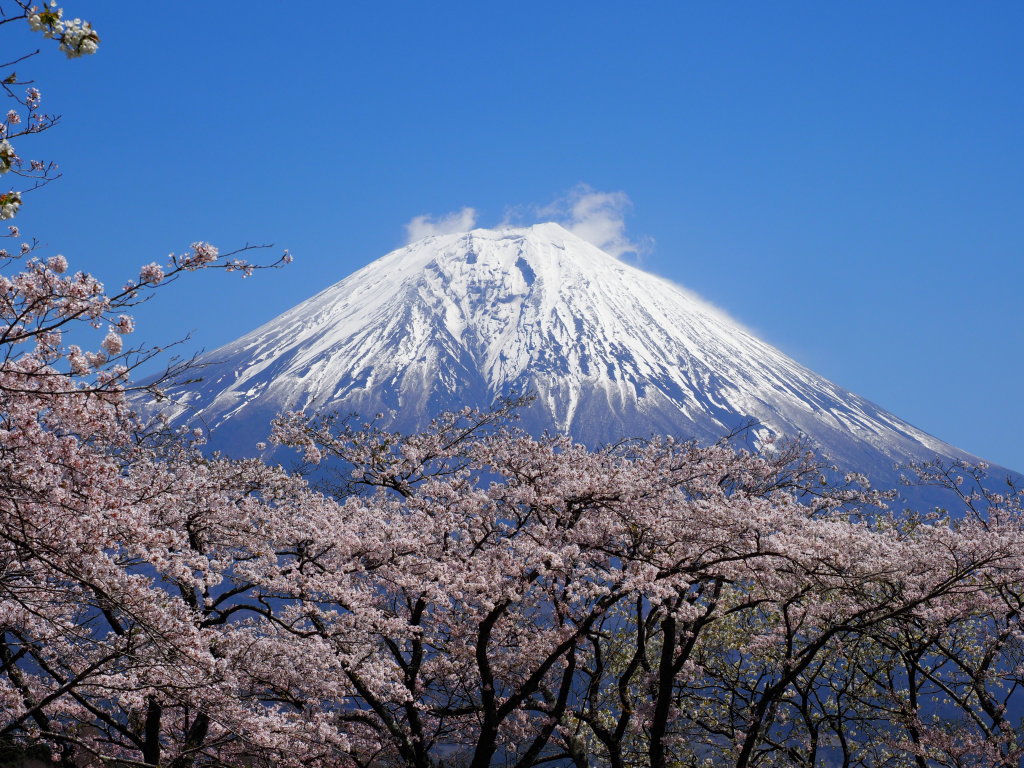 4/19 ���ƕx�m�R(2)