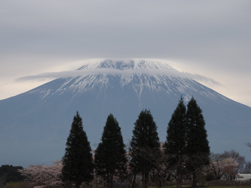 4/21 �_�u���P�_