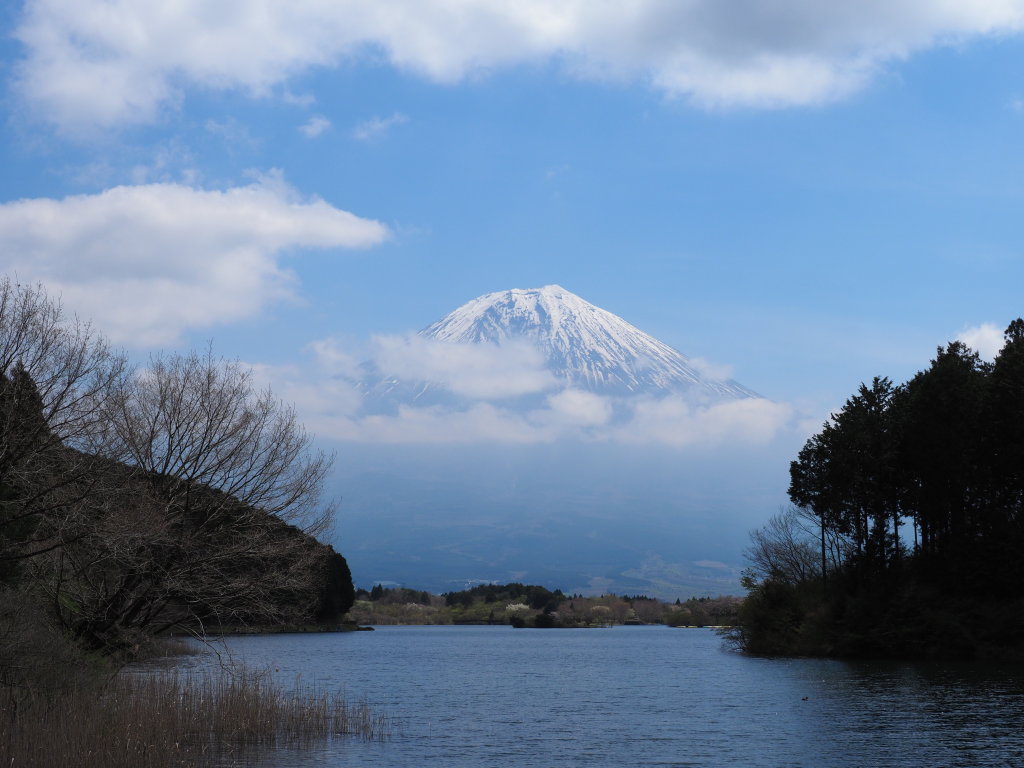 4/25 �����n�߂��x�m�R