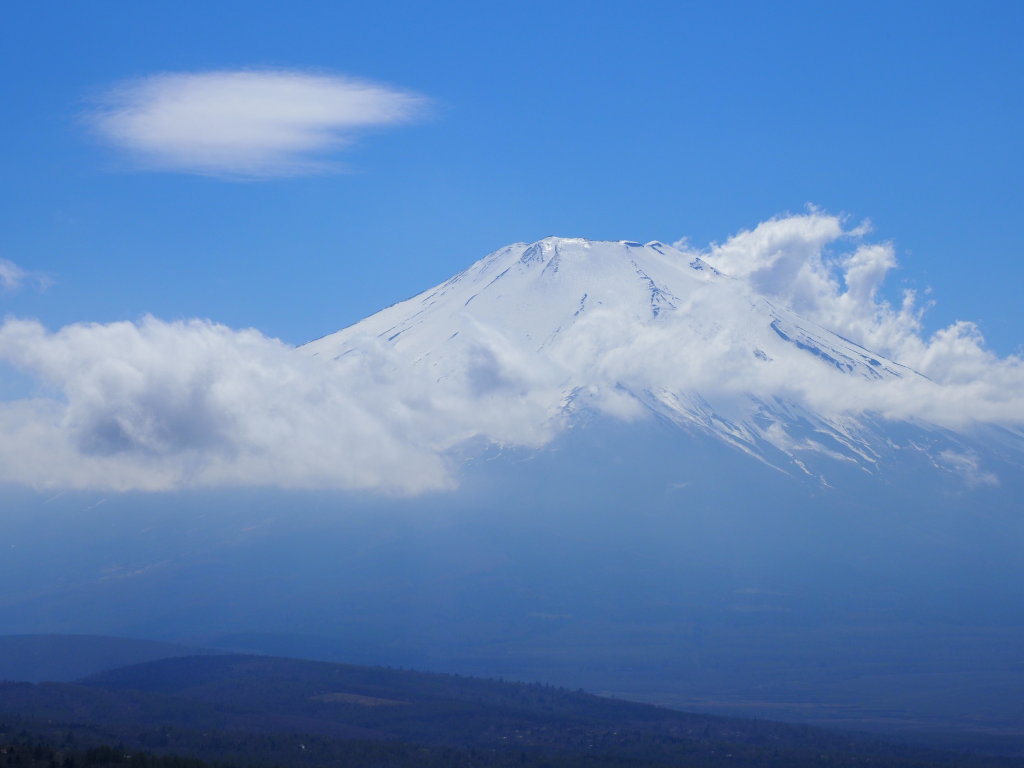 5/4 �_�ƕx�m�R