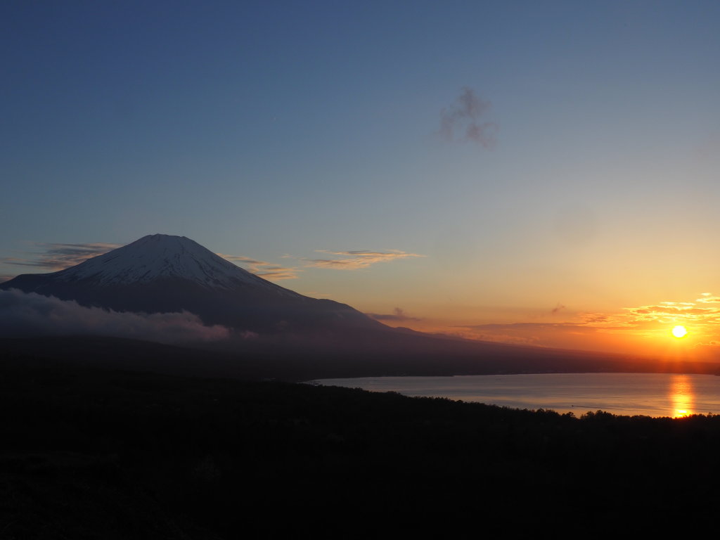 5/4 ���̓���̕x�m�R