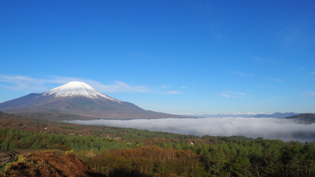 5/5 �_�C�Ɠ�A���v�X