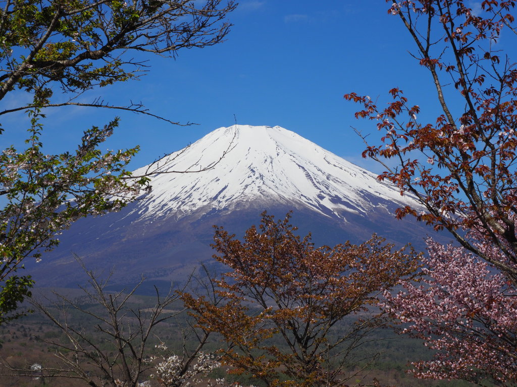 5/5 ���J�̍�(2)