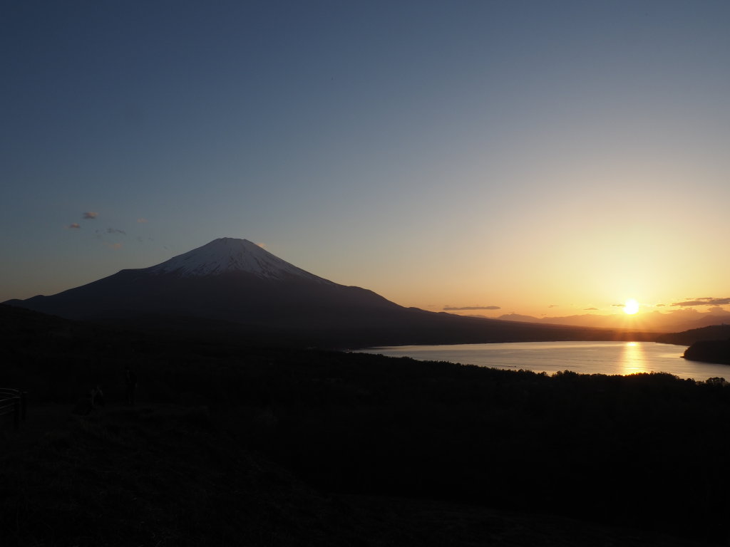 5/5 ���̓���̕x�m�R