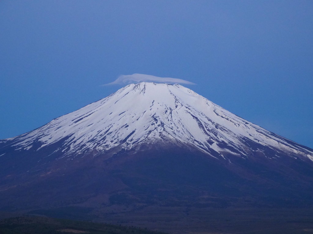 5/6 �P�_����