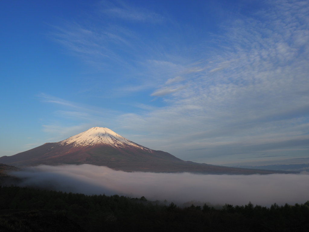 5/7 �_�C�Ɍ�