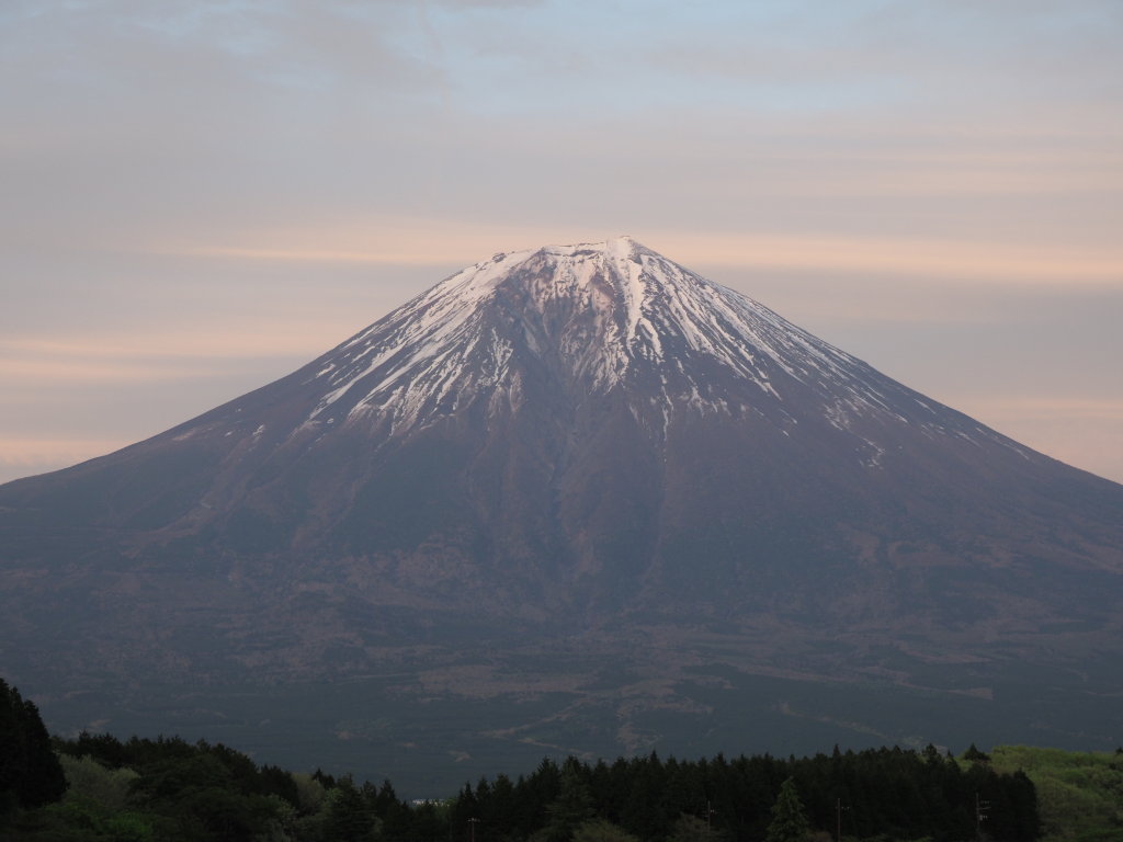 5/7 �c�ь΂̗[�Ă�(2)