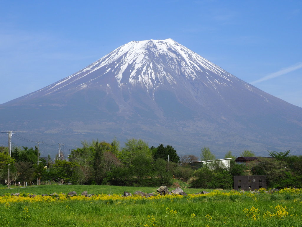 5/8 ����₩�p�[�N�̕x�m�R